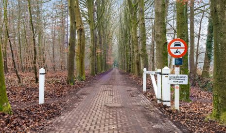 Te koop: Foto Woonhuis aan de Libanonweg 25 in Hattem