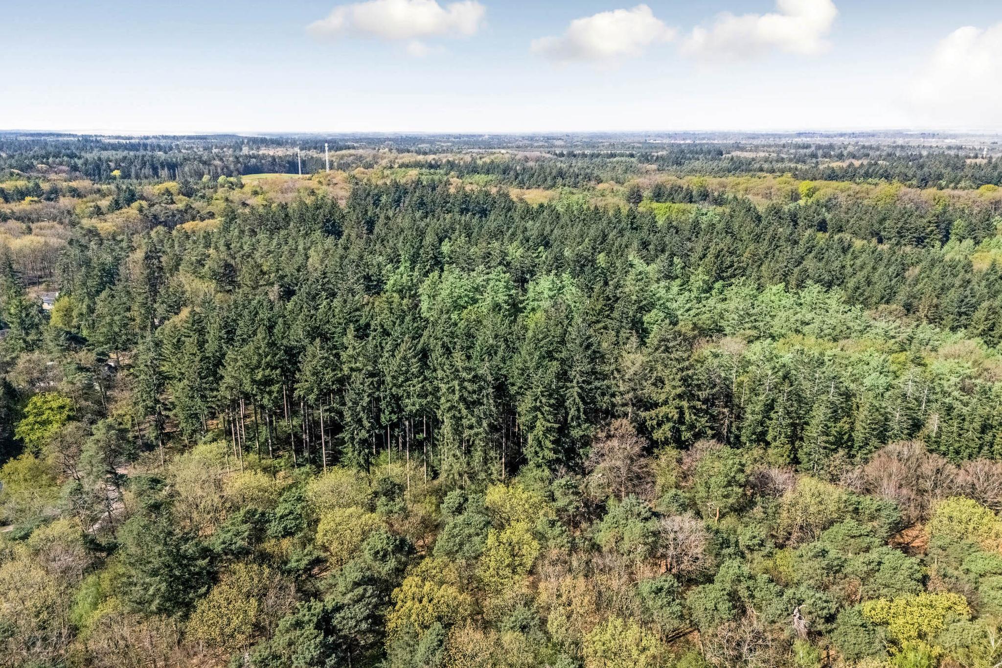 koop  Hattem  Veldweg 49 – Foto 3